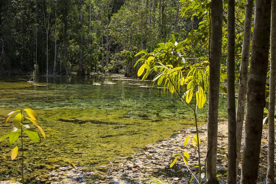 Emerald Pool mit kristall klarem Wasser