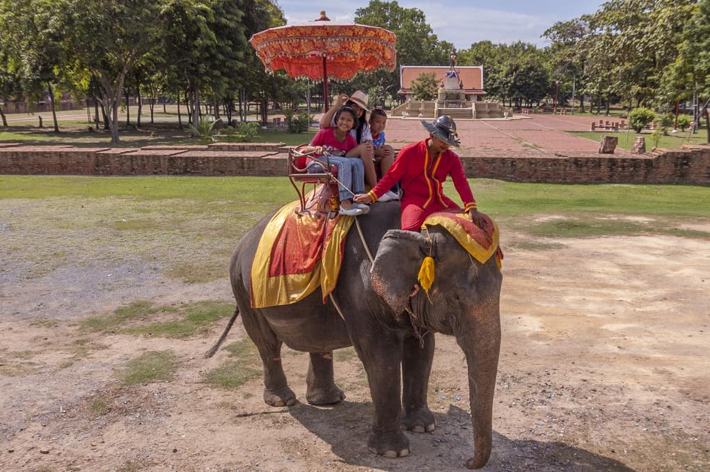 Elefantenreiten in Ayutthaya