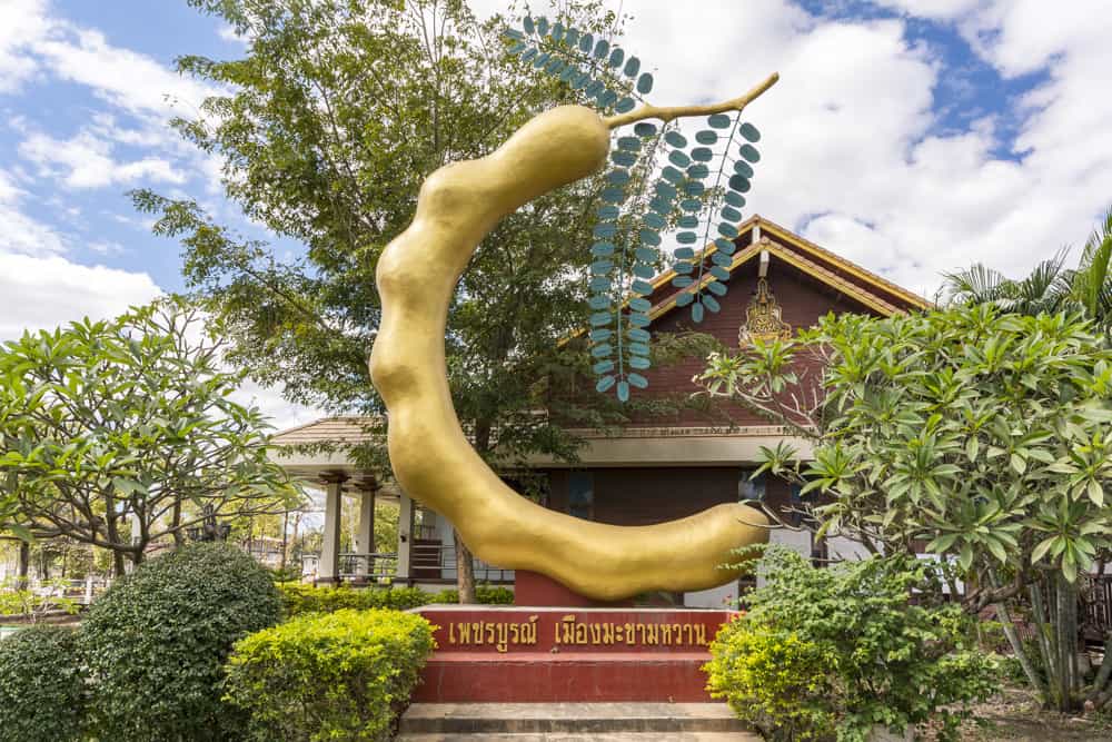 Skulptur einer Übergroßen Tamarinde