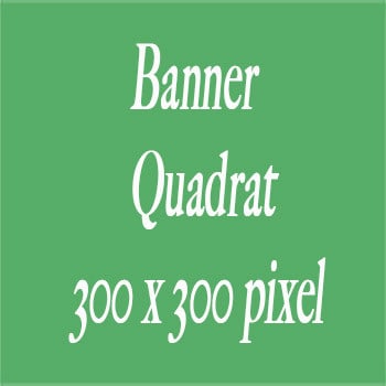 Banner Quadrat 300 X 300 pixel
