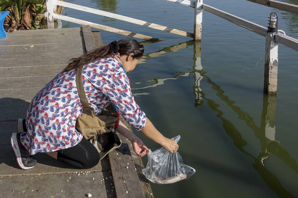 Meine Begleiterin schüttet einen Fisch in den See