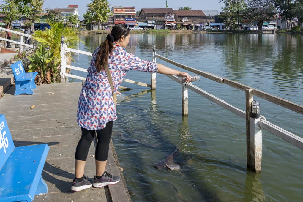 Meine Begleiterin füttert die Fische im Wat Traphang Thong