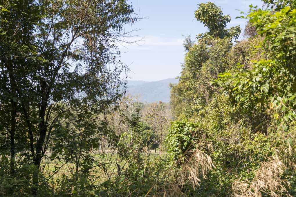 Landschaft im Nordthailand und Wohnort der Bergvölker