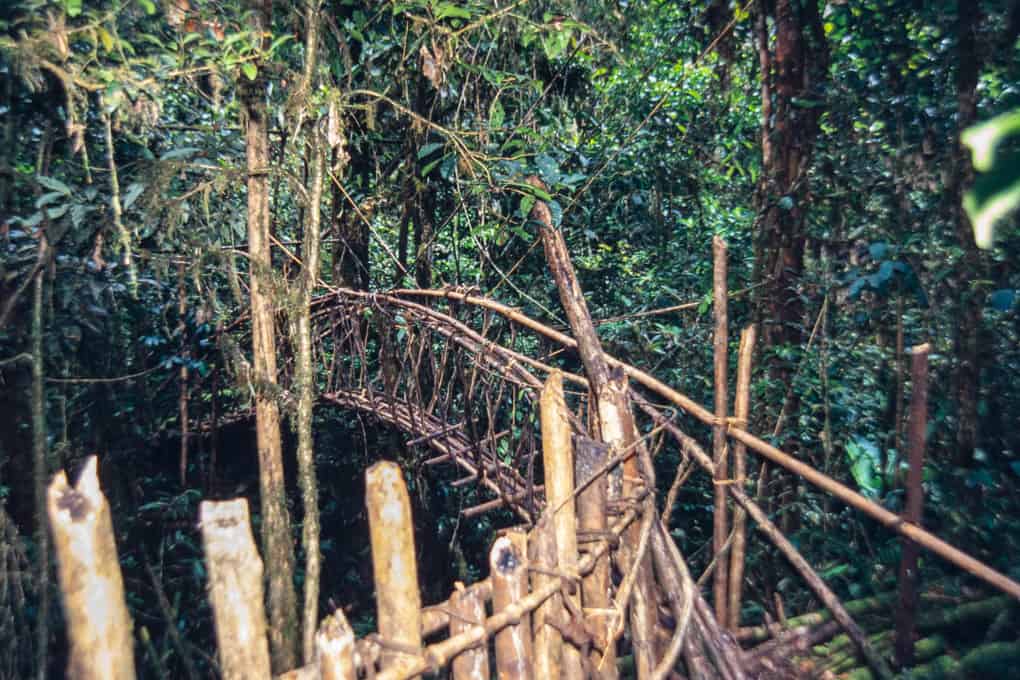 Hängebrücke im tiefen Urwald Papua-Neuguinea
