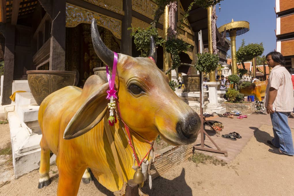 Standbild eines Ochsen im Wat Phrathat Lampang Luang