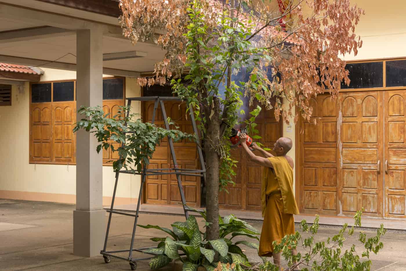 Mönch bei der Gartenarbeit im Wat Phet Wararam - Phetchabun