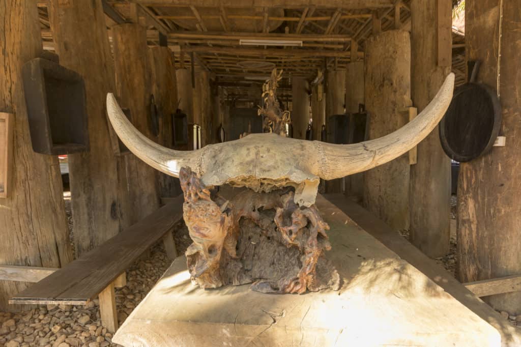 Ein Stück Holz mit einem alten Büffelschädel - Künstler Thawan Duchanee - Schwarze Haus in Chiang Rai