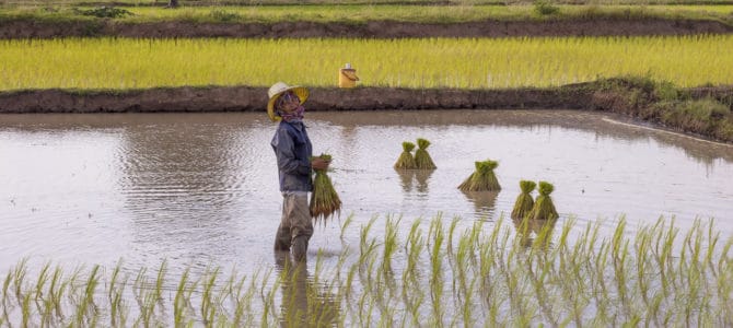 Verbraucherpreise steigen in Thailand stark an! Verbraucherpreise steigen in Thailand stark an!