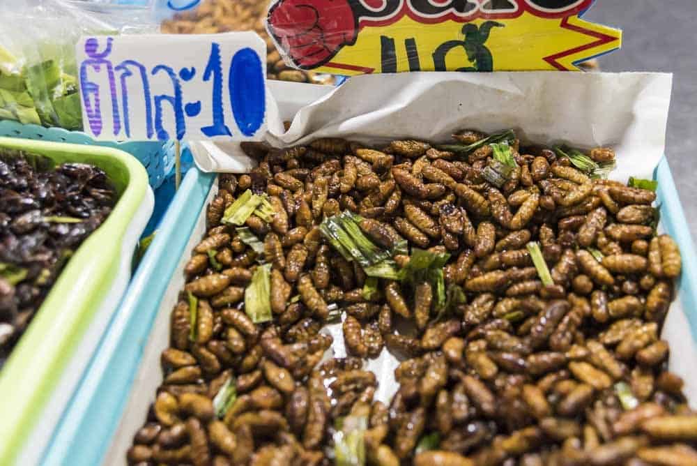 Insekten als Snack auf einem Markt in Phetchabun Thailand - Die ungewöhnlichsten Gründe in Thailand Urlaub zu machen