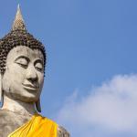 Buddha kleidung - Betrachten Sie unserem Testsieger