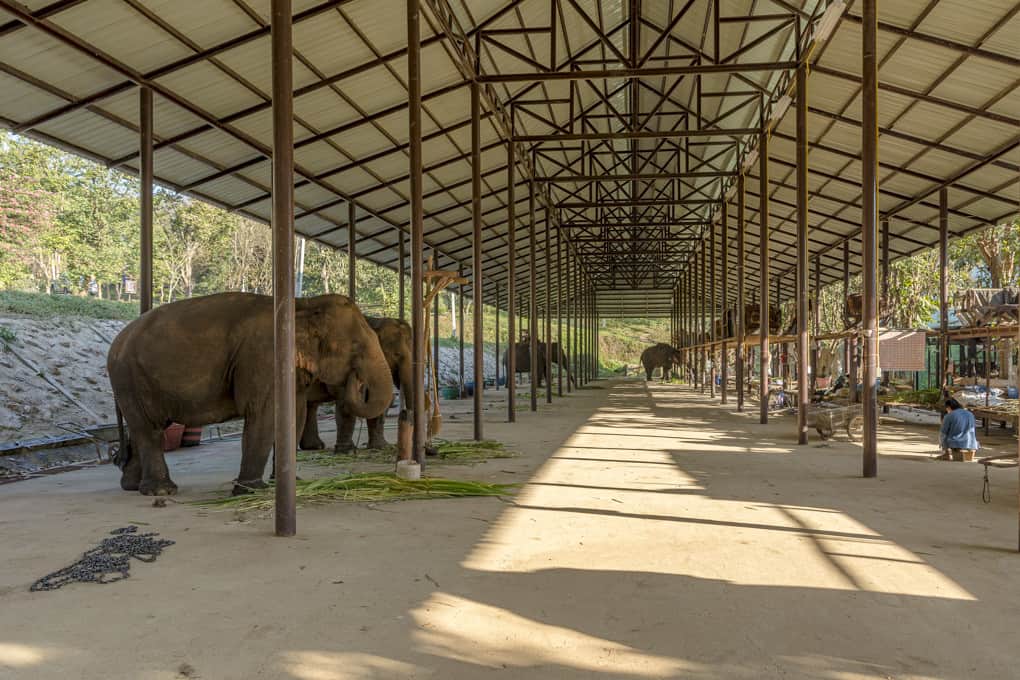 Elefantenunterstand im Elephant Conservation Center Lampang - Thailand