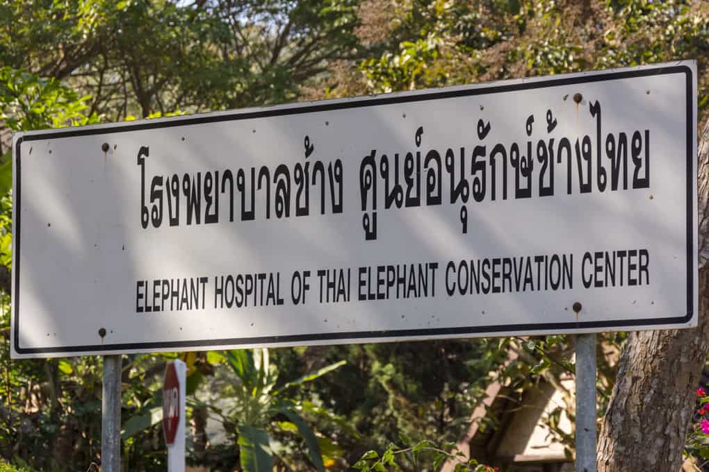 Hinweisschild zum einzigen Krankenhaus nur für Elefanten in Thailand